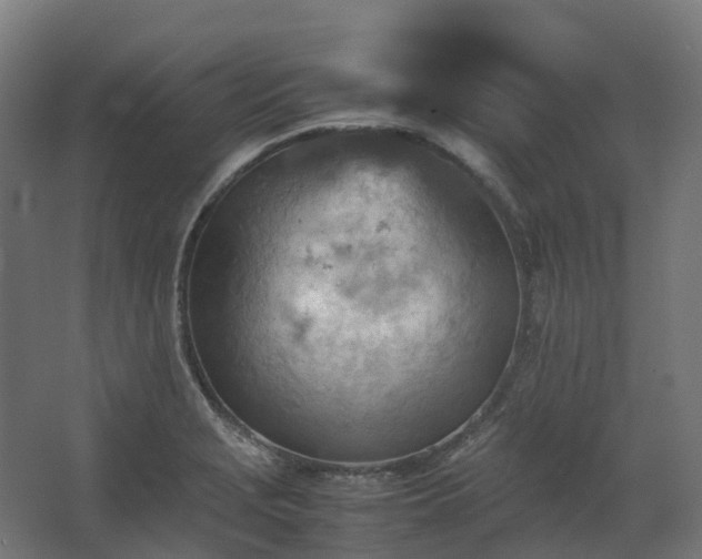 X0000067851229200604201259