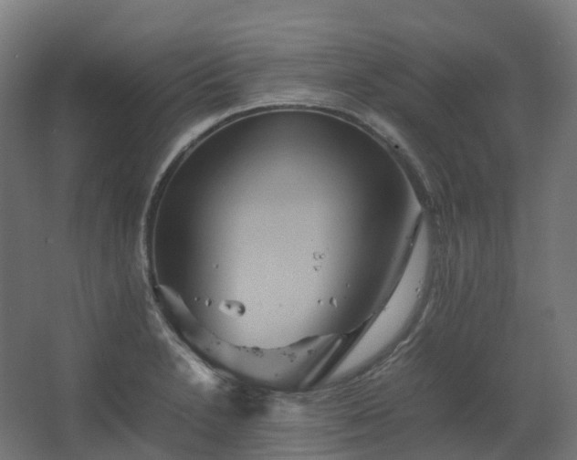 X0000067851230200604201259