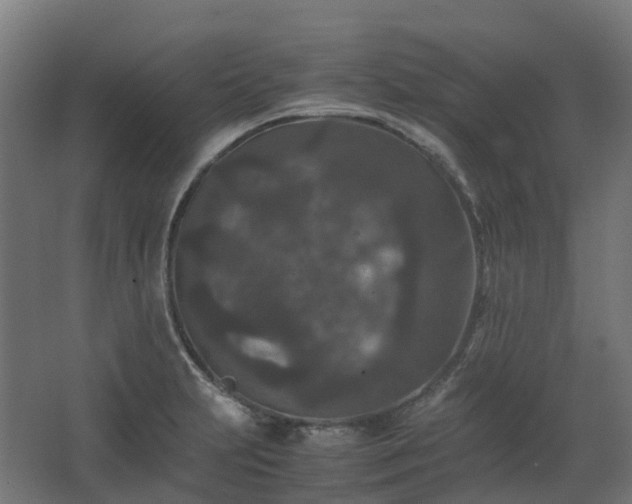 X0000067851231200604201259