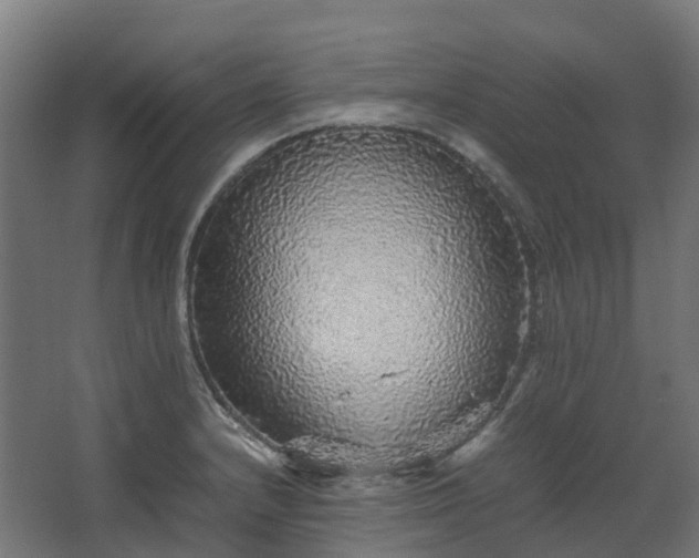 X0000067851232200604201259