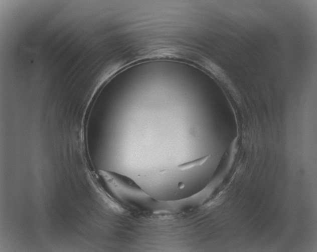 X0000067851234200604201259