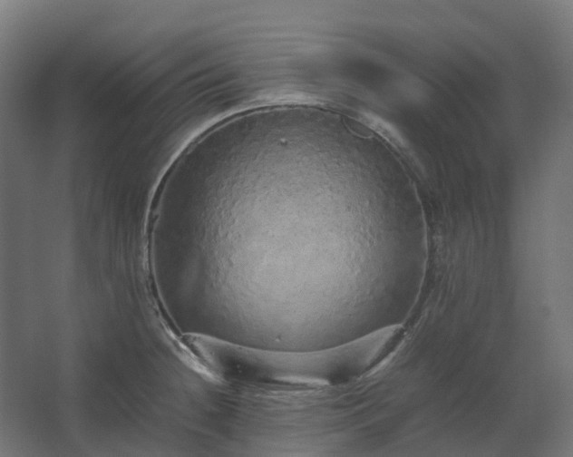 X0000067851236200604201259