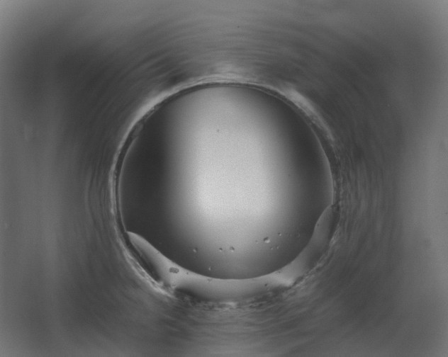 X0000067851238200604201259