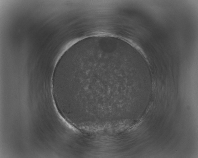 X0000067851239200604201259