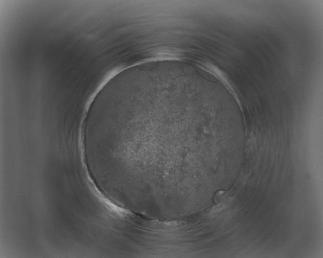 X0000067851243200604201259