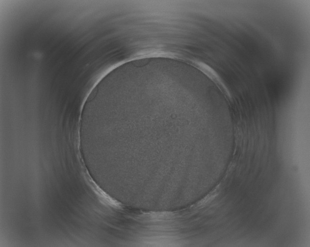 X0000067851244200604201259