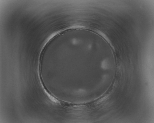 X0000067851245200604201259