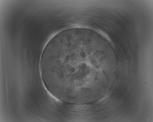 X0000067851247200604201259