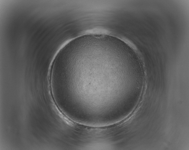 X0000067851248200604201259
