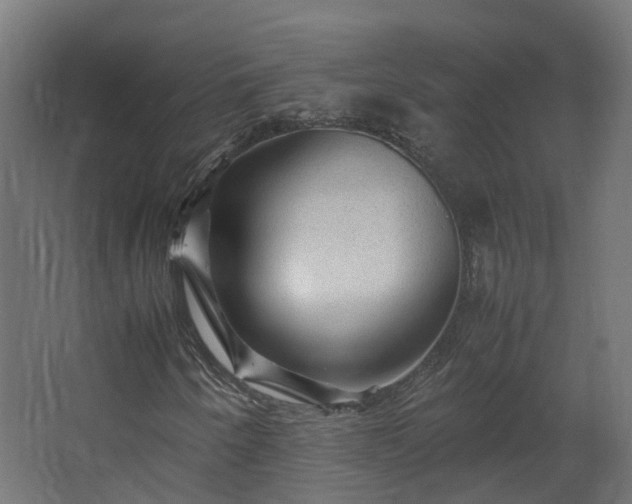 X0000067851250200604201258