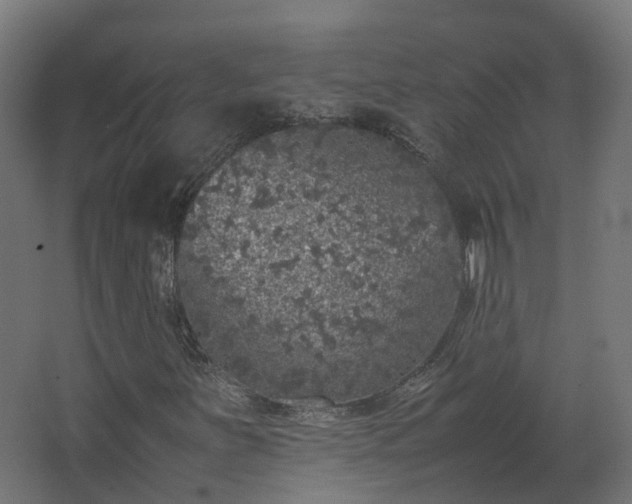 X0000067851251200604201258