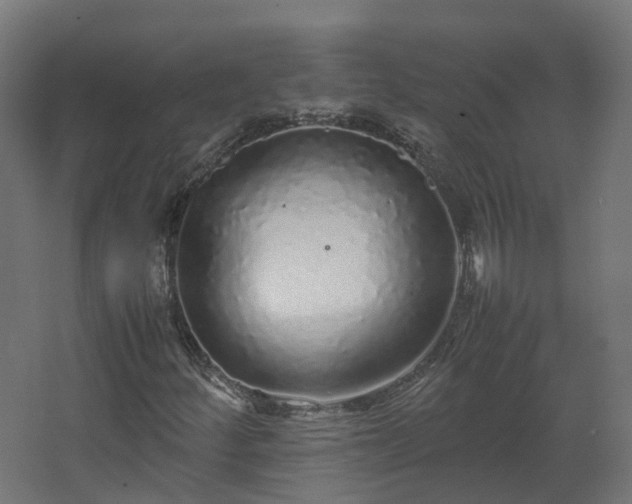 X0000067851252200604201258