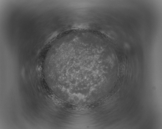 X0000067851254200604201258