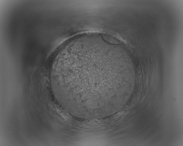 X0000067851255200604201258