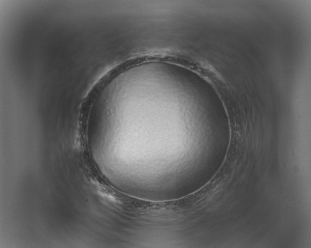 X0000067851256200604201258