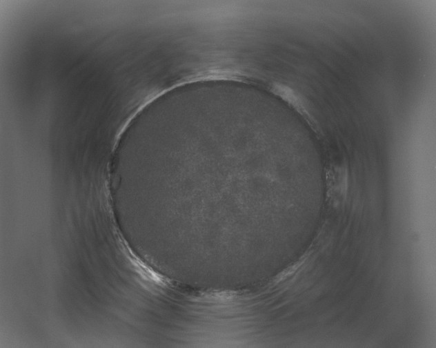 X0000067851260200604201258