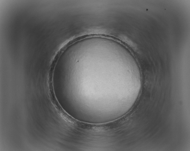 X0000067851264200604201258