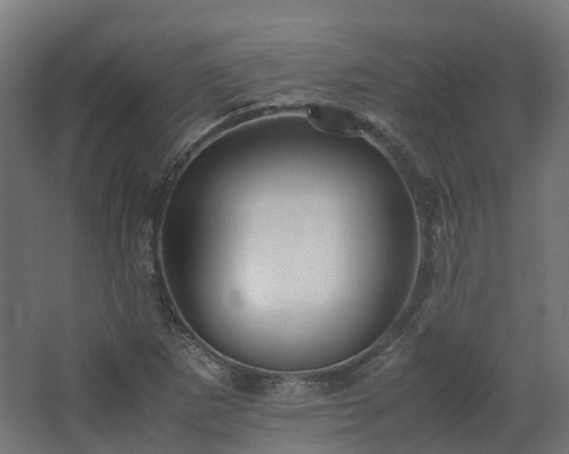 X0000067851265200604201258