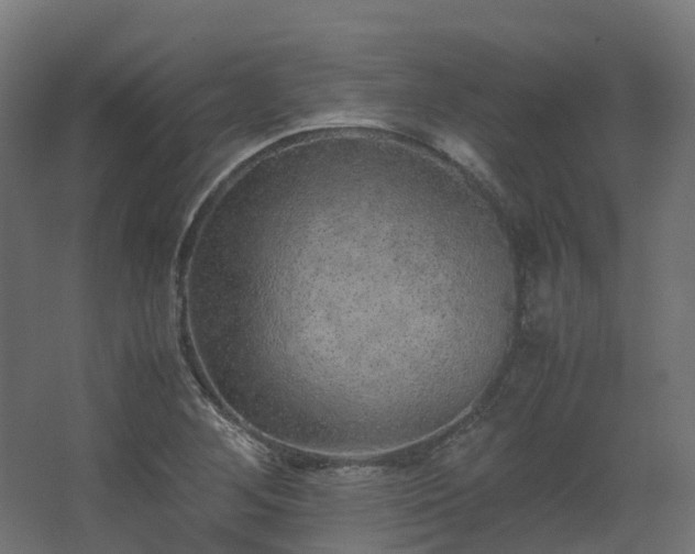 X0000067851268200604201258