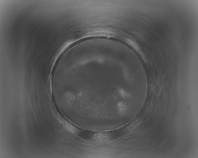 X0000067851275200604201258
