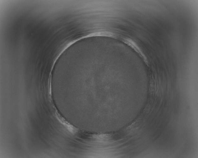 X0000067851276200604201258