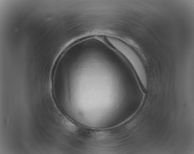 X0000067851280200604201258