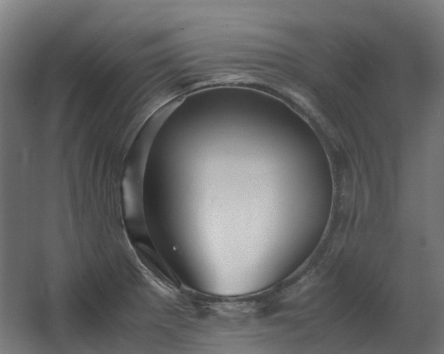 X0000067851281200604201258