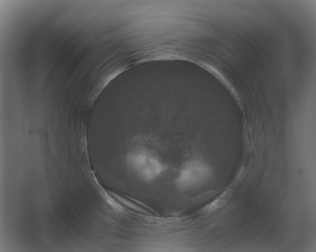 X0000067851289200604201258