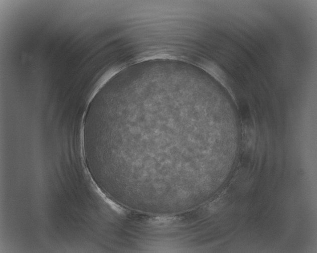 X0000067851290200604201258