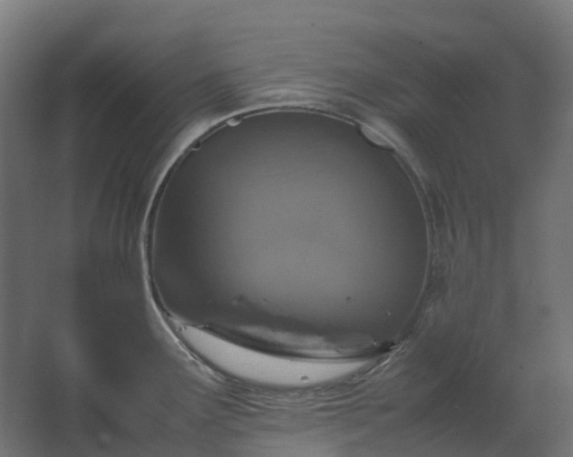 X0000067851291200604201258