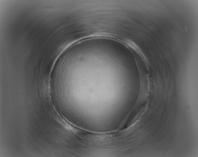 X0000067851292200604201258