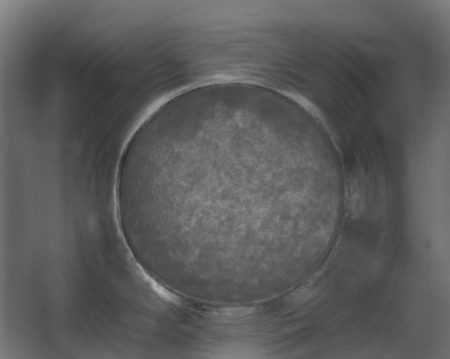 X0000067851294200604201257
