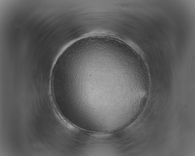 X0000067851296200604201257