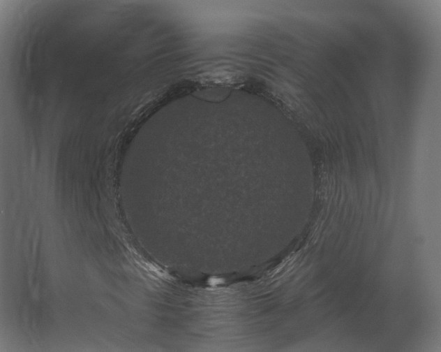 X0000067851297200604201257