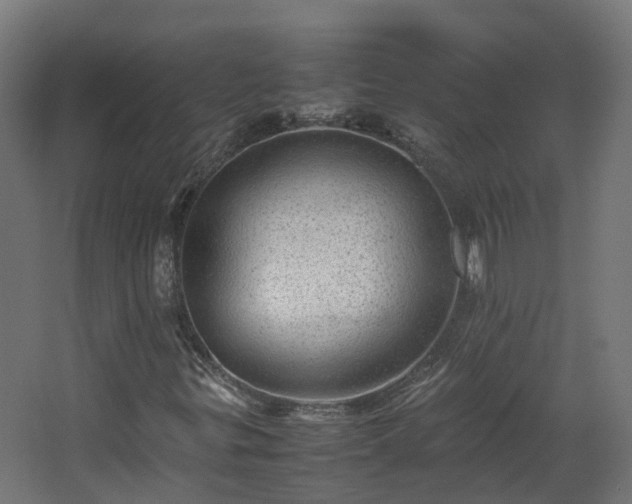 X0000067851299200604201257