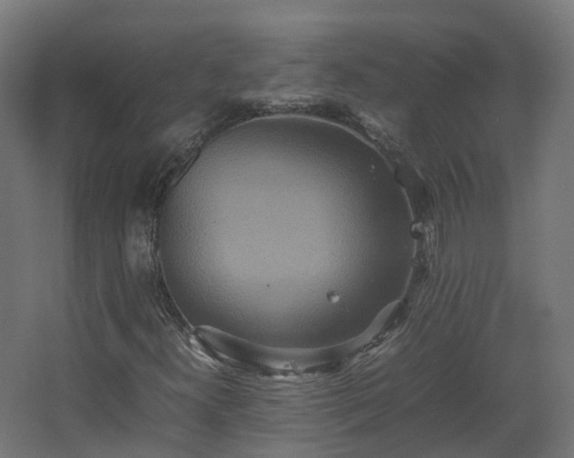X0000067851300200604201257