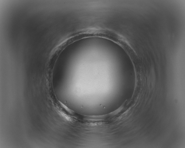 X0000067851304200604201257