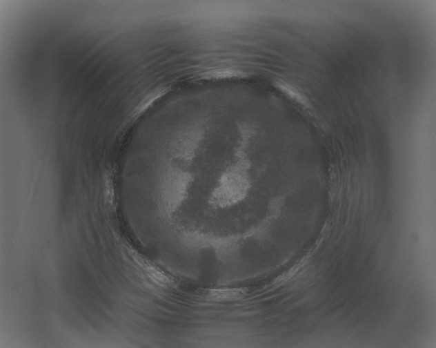 X0000067851305200604201257