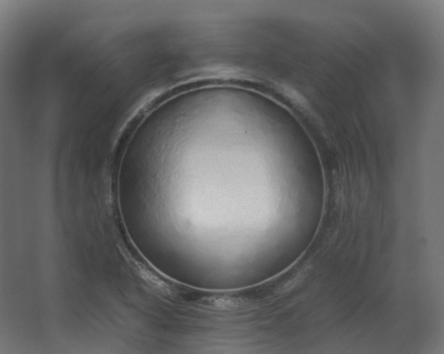 X0000067851318200604201257