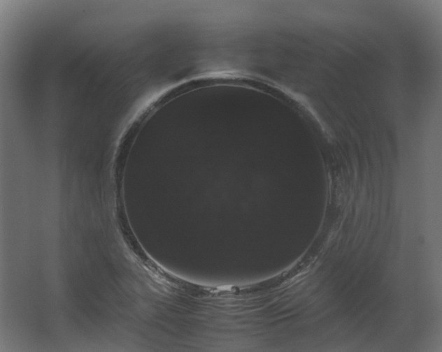 X0000067851319200604201257