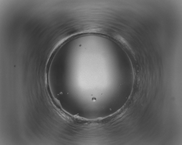 X0000067851324200604201257