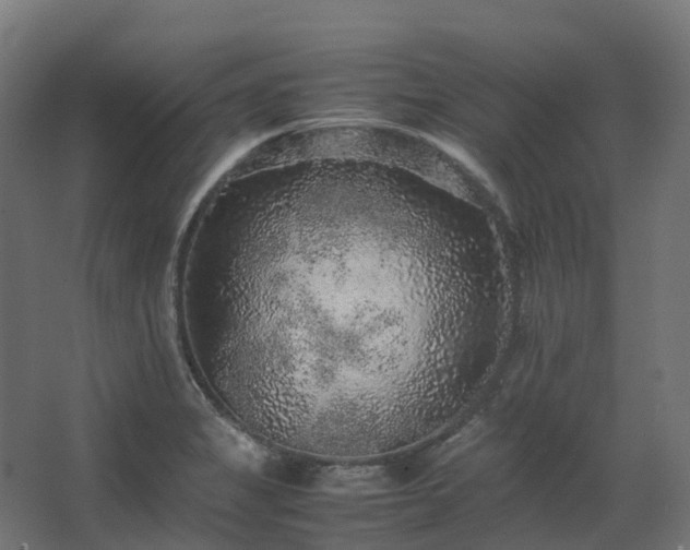 X0000067851325200604201257