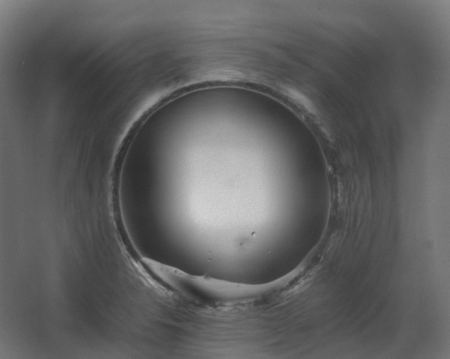 X0000067851326200604201257