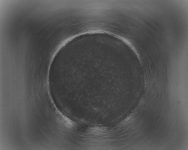 X0000067851327200604201257