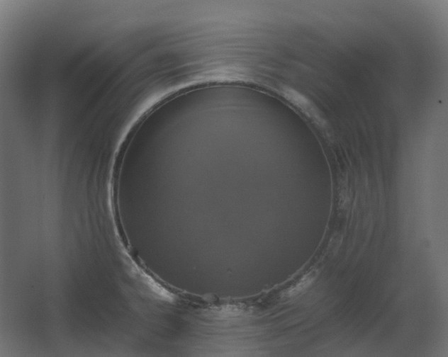 X0000067851334200604201257