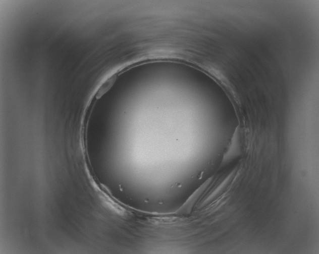 X0000067851342200604201257