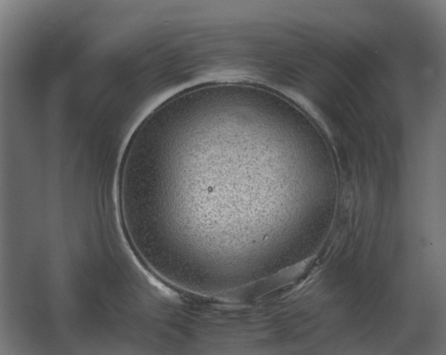 X0000067851343200604201257