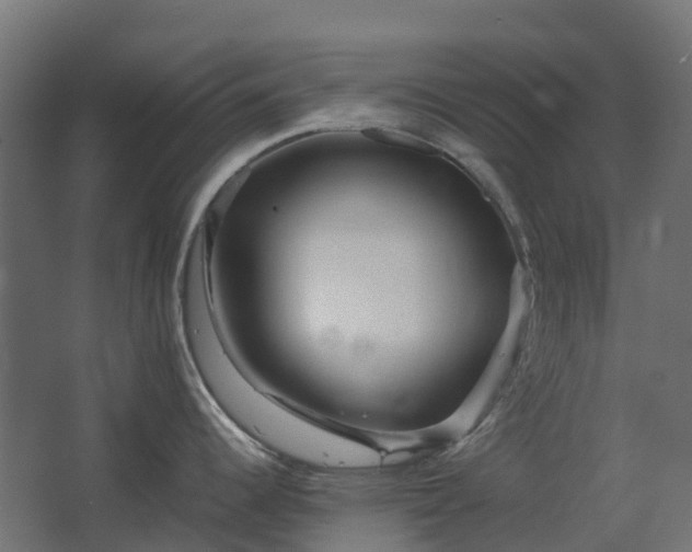 X0000067851344200604201257
