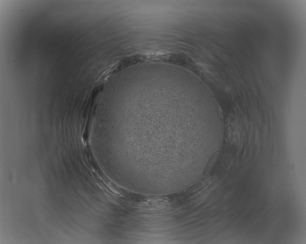 X0000067851346200604201257