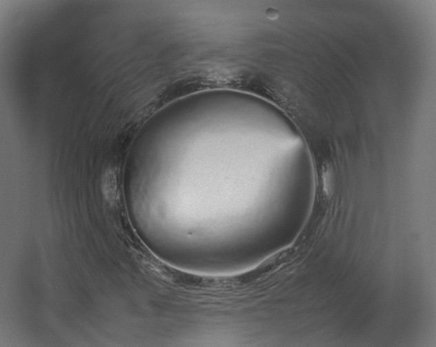 X0000067851347200604201257